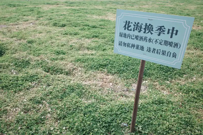 2025年共享办公行业政策风向与企业合规应对策略