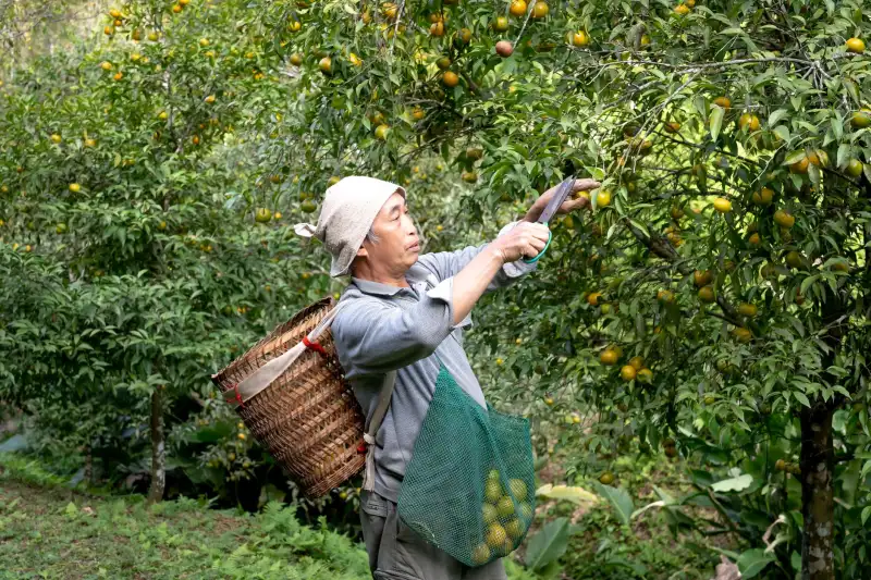 龙商行共享办公空间智能化管理系统技术解析